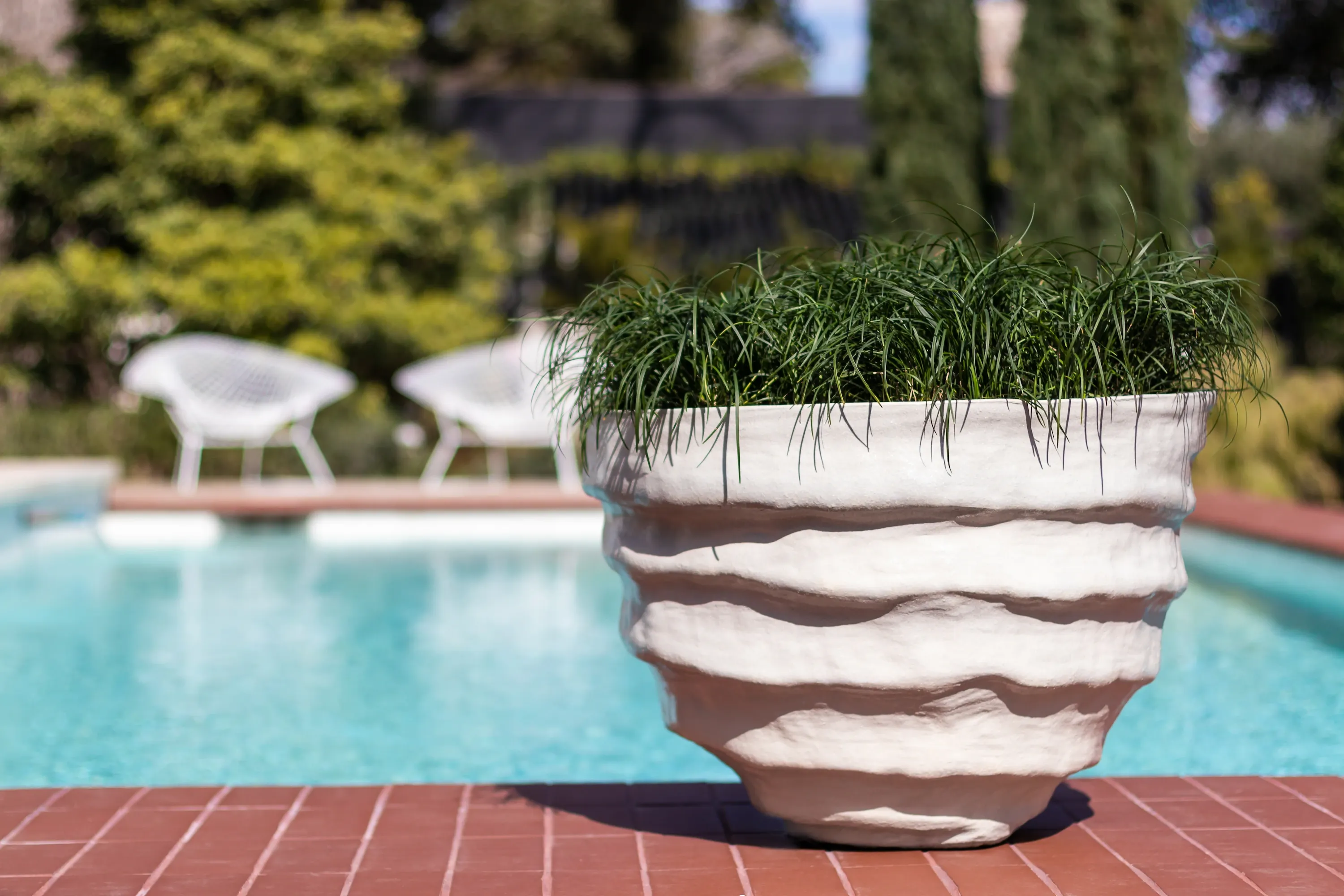 Batur terracotta pot in living room Planted Pots, Interior Design, Landscape Design, Home Design, Landscape Architecture, Native Plants, Austin Nursery, Nursery, Garden Center, Gardening, Custom Design, Existing Planter Design, Plant Care, Plant Design, Plant Delivery