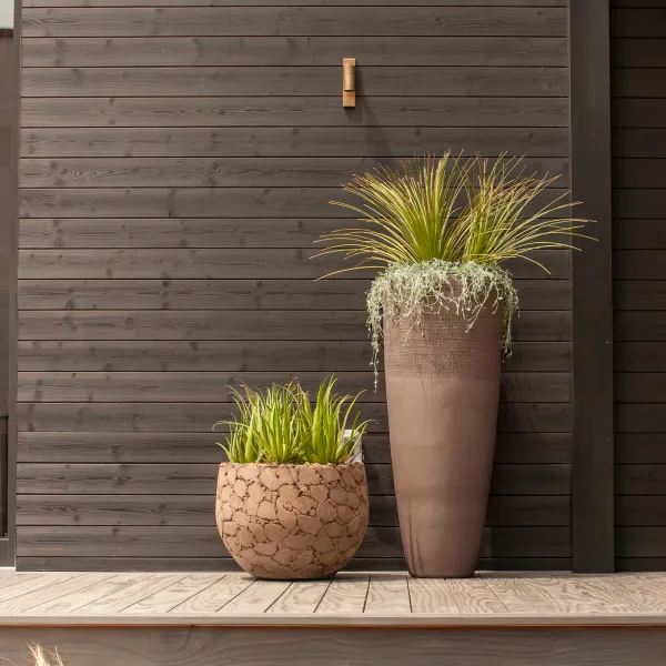 Residential plant design - Paris vase with mixed plantings