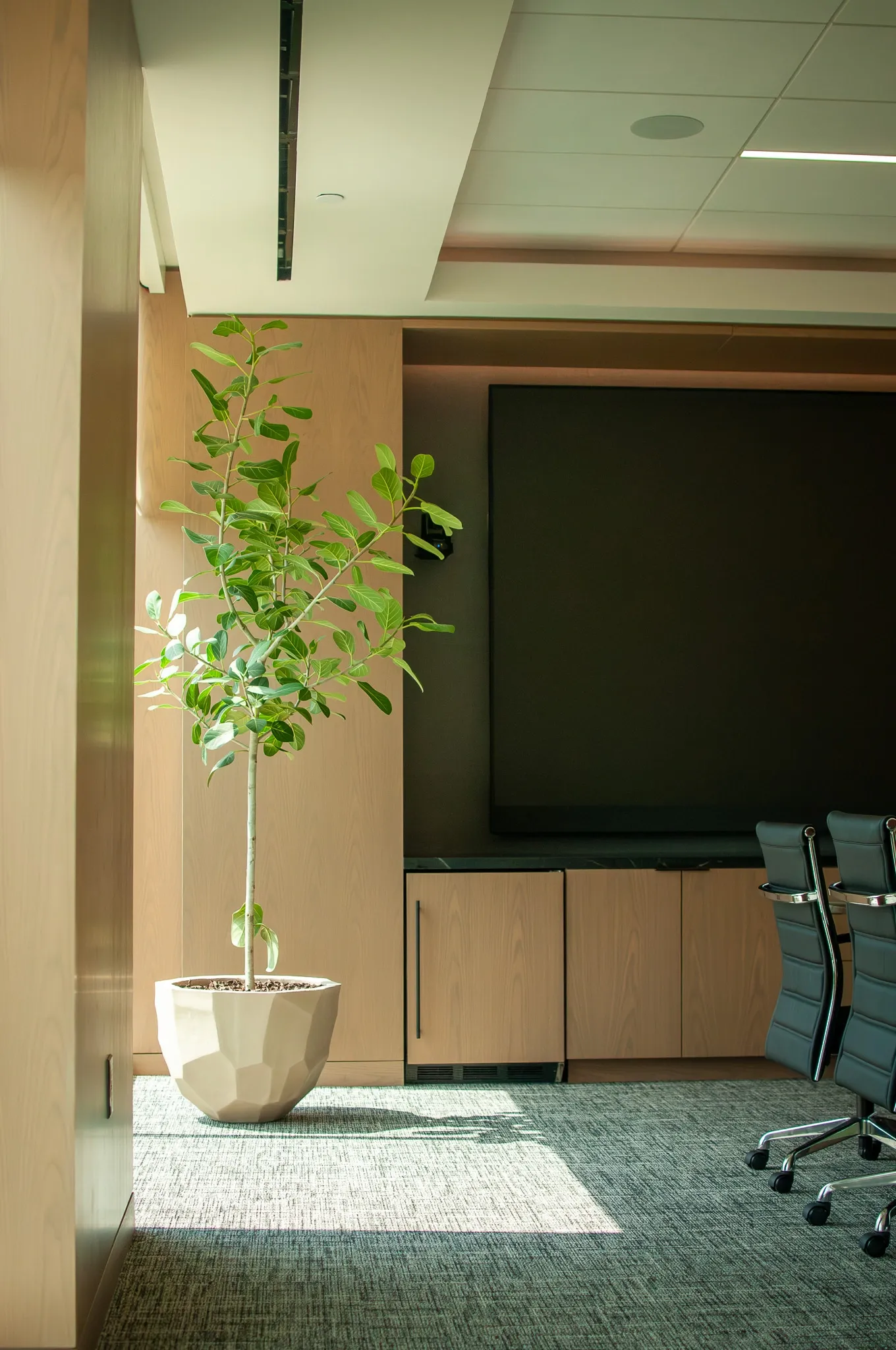 WM Capital Partners interior plant design
