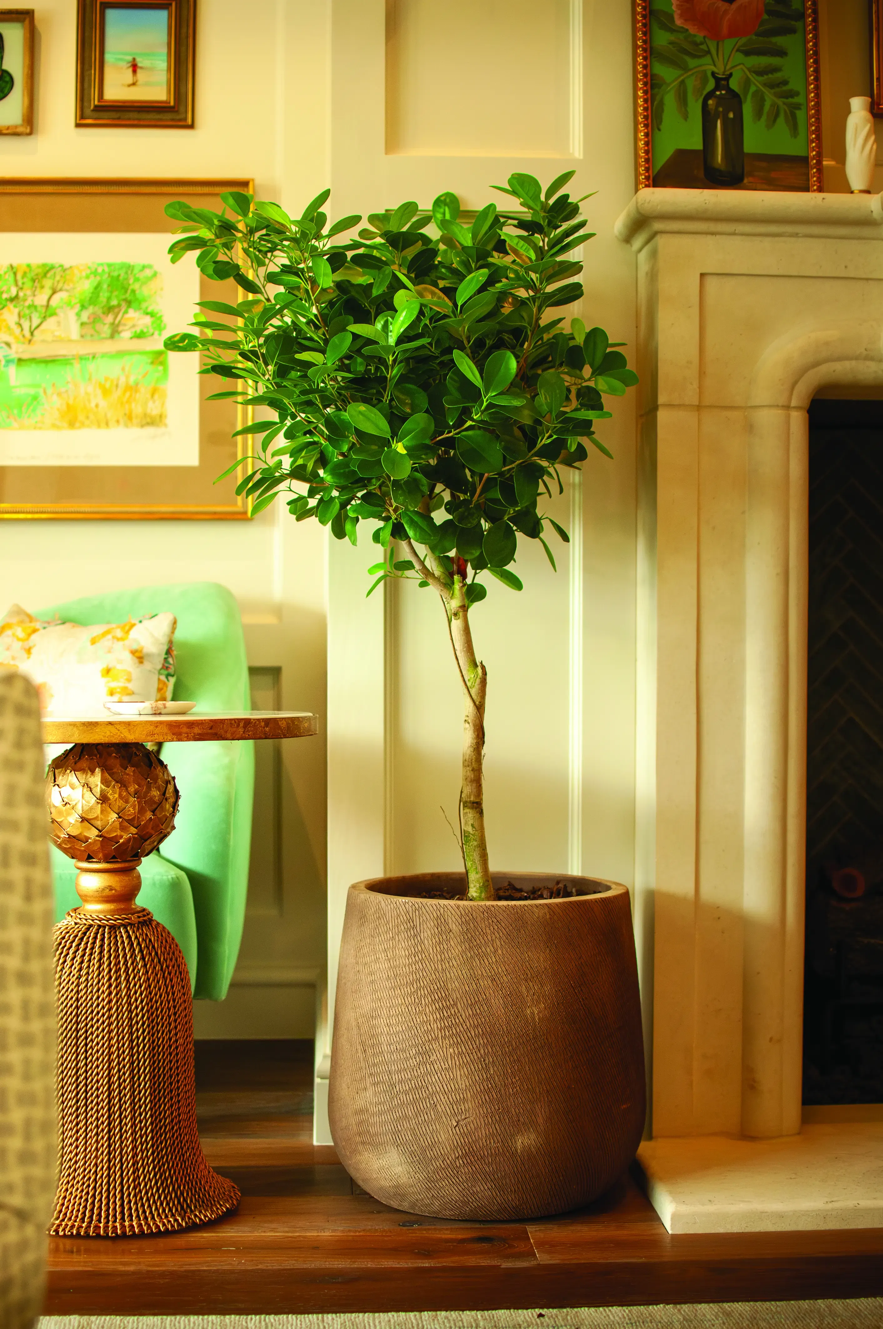 Rollingwood Timeless & Refined