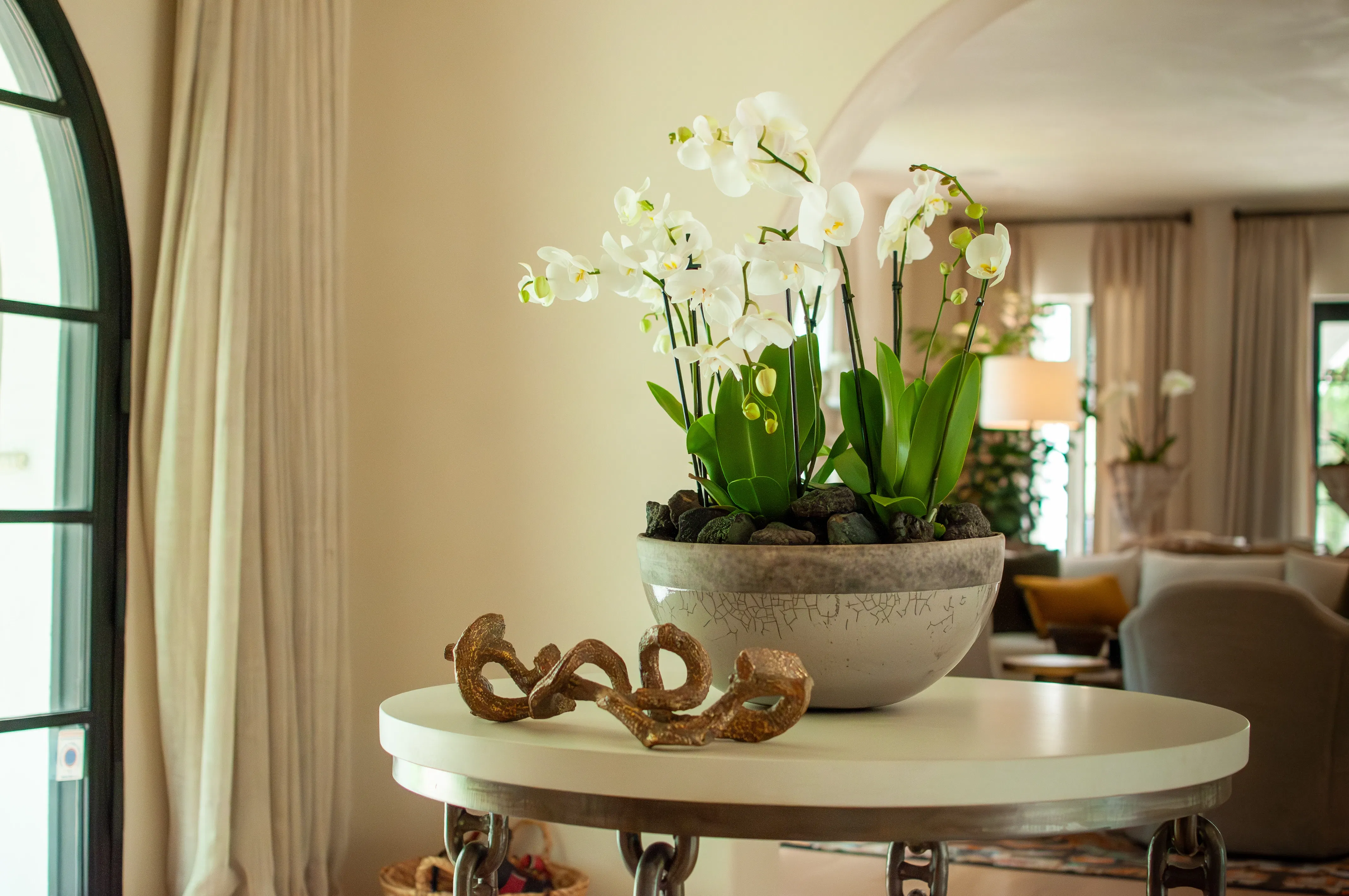 Tarrytown Florals & Orchids